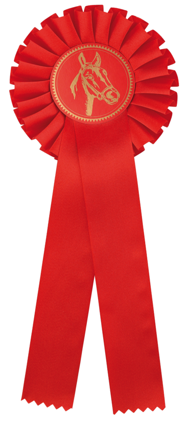 "Classic Red" – Sarkanā satīna rozete jāšanas sacensībām